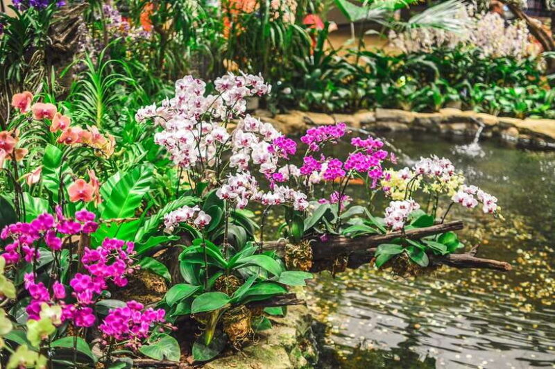 Singapore: National Orchid Garden Admission - Key Points
