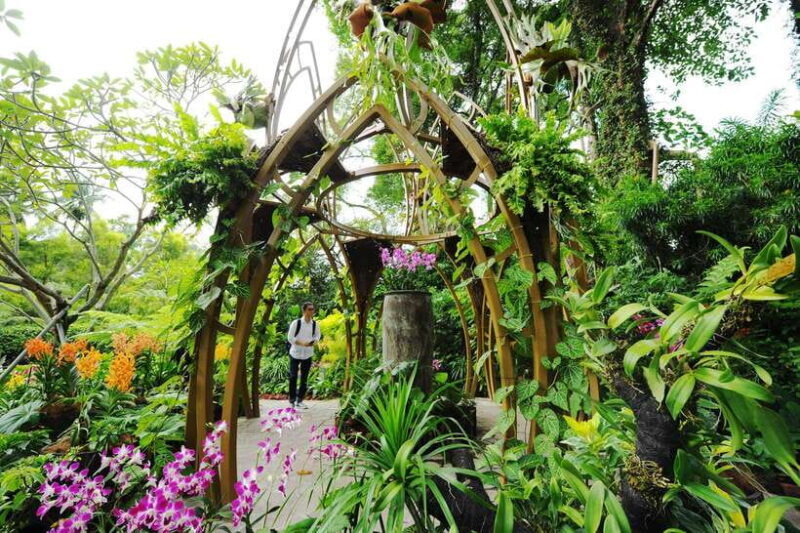 Singapore: National Orchid Garden Entry Tickets - Key Points