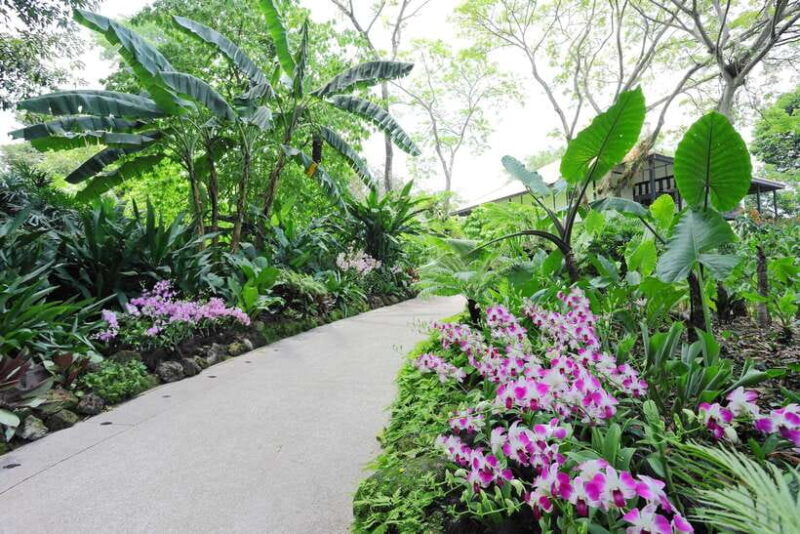 Singapore: National Orchid Garden Entry Tickets - A Closer Look at the Experience