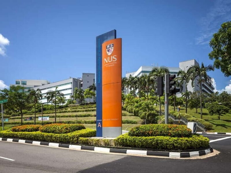 Singapore: National University of Singapore Campus Tour - Why This Tour Matters