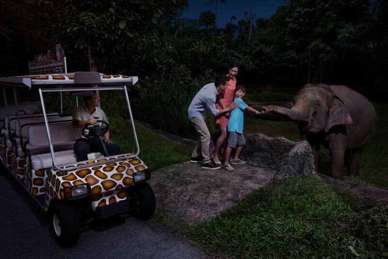 Singapore: Night Safari and Tram Ride Ticket - Singapore: Night Safari and Tram Ride Ticket – An In-Depth Review