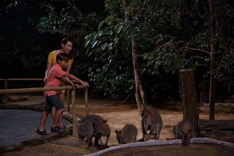 Singapore: Night Safari and Tram Ride Ticket - Final Thoughts