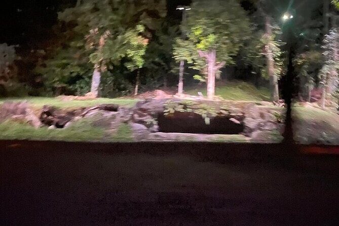 Singapore Night Safari Entrance Ticket with Tram Ride - A Closer Look at the Singapore Night Safari Experience