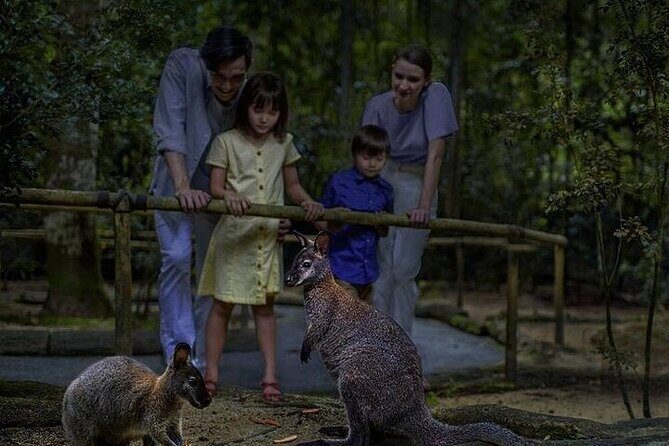 Singapore Night Safari Entrance Ticket with Tram Ride - Who Should Consider This Tour?