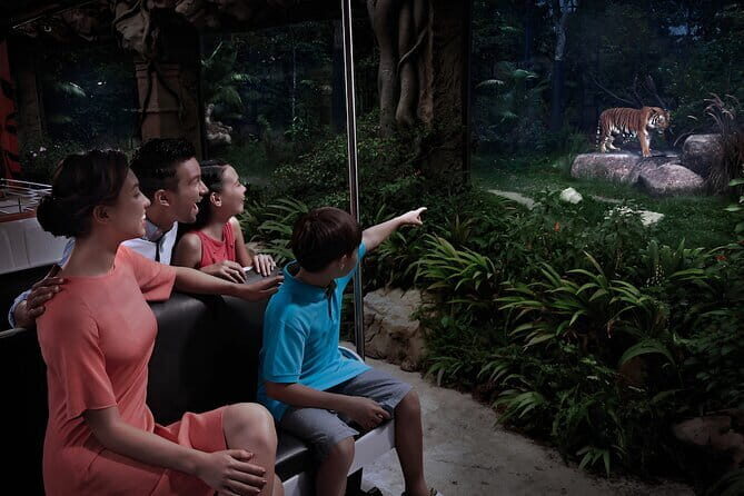 Singapore: Night Safari Entry Ticket - Singapore: Night Safari Entry Ticket – An Authentic Nocturnal Adventure