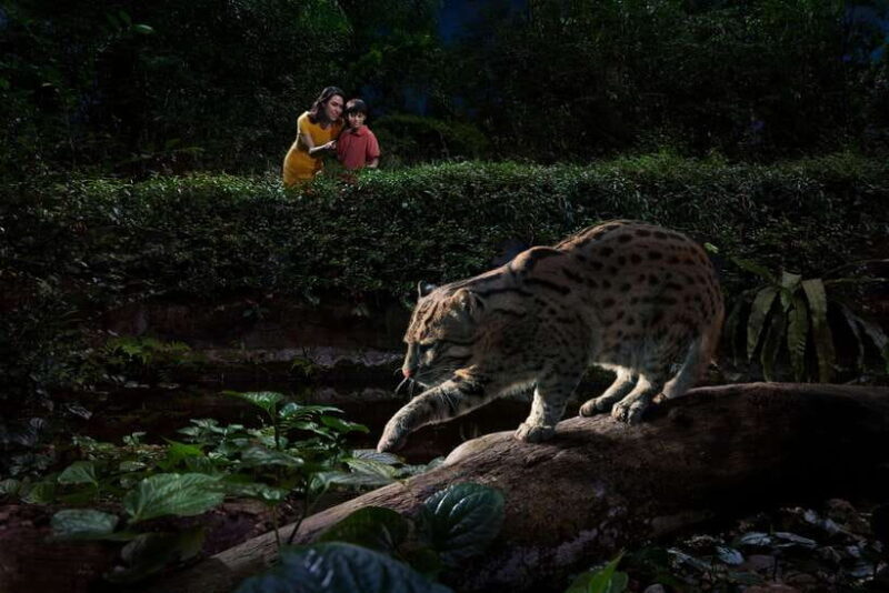 Singapore: Night Safari Singapore w/ Tram - Key Points