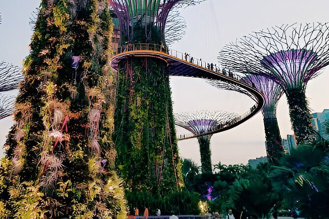 Singapore OCBC Skyway Flower dome Cloud Forest Garden by the Bay - Key Points