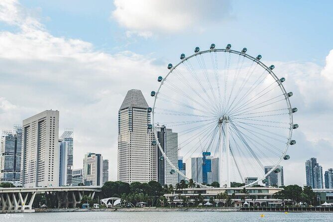 Singapore Panoramic Sightseeing Private Tour with River Cruise - What Reviewers Are Saying
