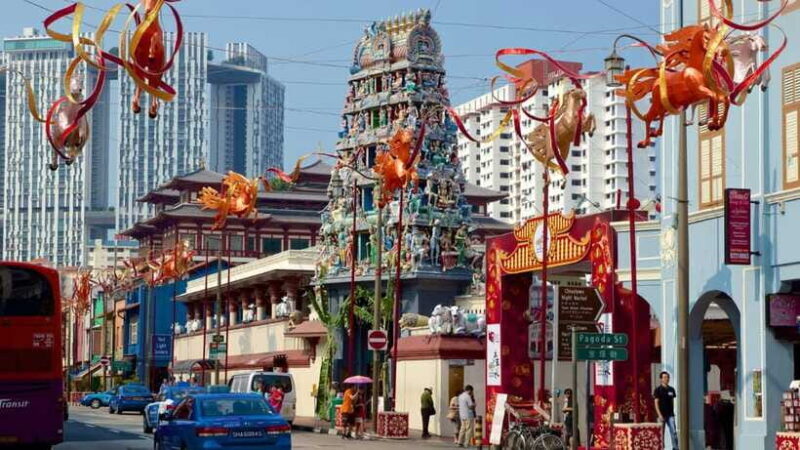 Singapore: Private 3-4-6-8 Hour Customized Singapore Tour - Who Is This Tour Best For?