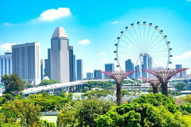 Singapore Private Customized City Tour with Driver - Why This Tour Works Well
