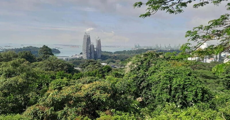 Singapore: Private Full-Day Island Tour - Key Points