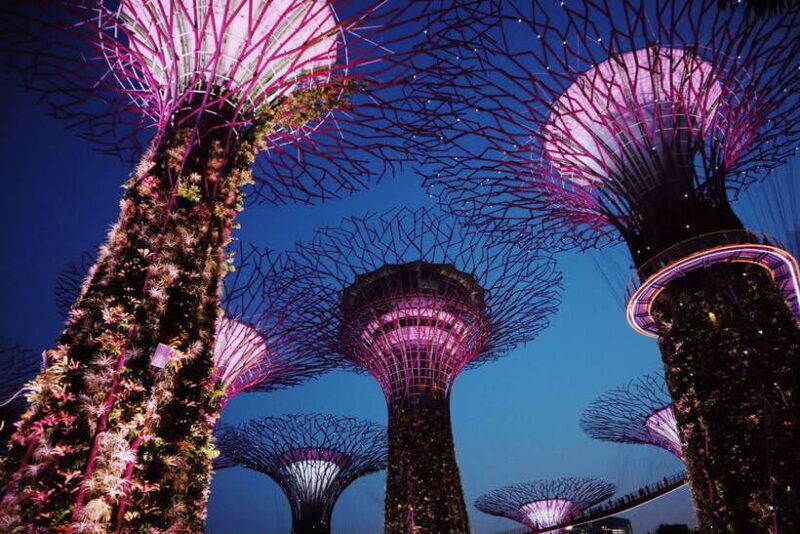 Singapore: Private Tour with a Driver - Key Points
