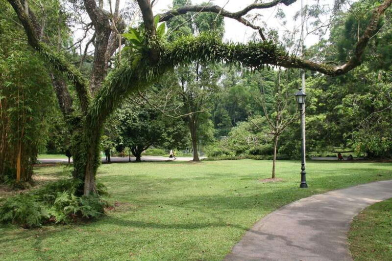 Singapore: Private Tour with a Driver - FAQ