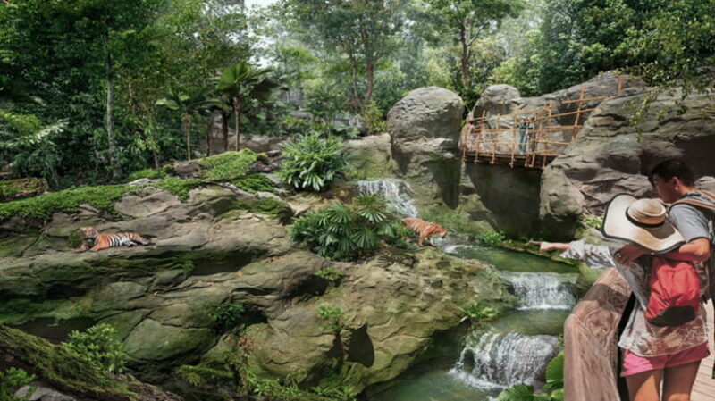 Singapore: Rainforest Wild Asia Entry Ticket - Final Thoughts: Is Rainforest Wild Asia Worth Your Time?