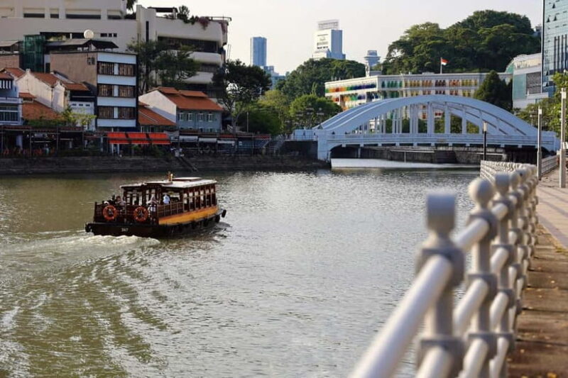 Singapore River Cruise, Night Garden Rhapsody & Spectra Show - Who Should Consider This Tour?
