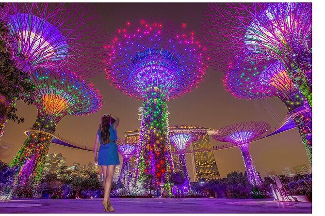 Singapore River Cruise with Spectra & Garden Rhapsody Light Show - Discover Singapore with a Night Tour that Combines Water, Light, and Culture