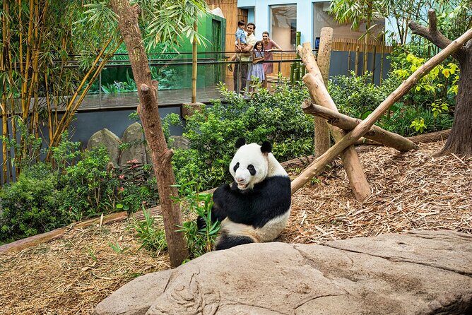 Singapore: River Wonders Entry Ticket - Key Points