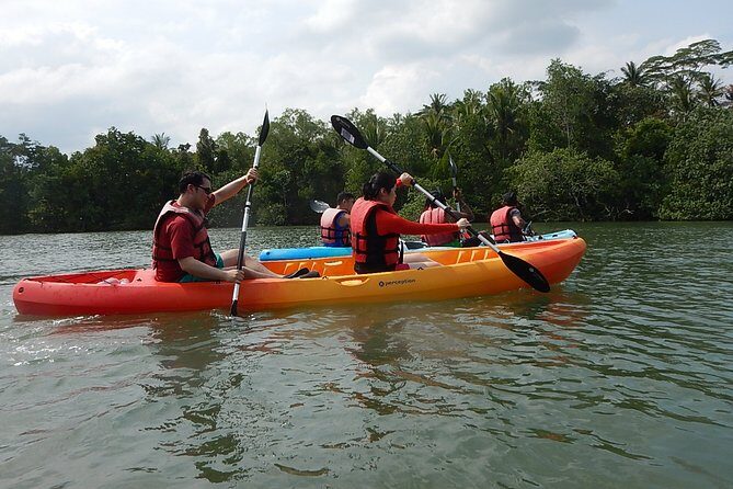 Singapore Round Ketam Kayaking Adventure in Pulau Ubin - Final Thoughts: Who Will Love This Tour?