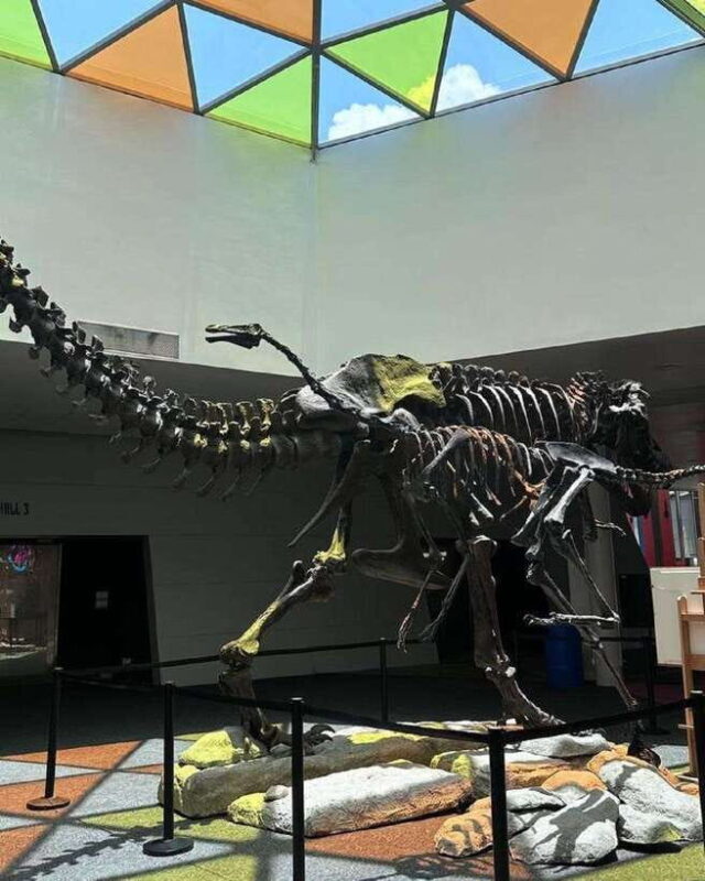 Singapore: Science Center E-Ticket - Final Thoughts