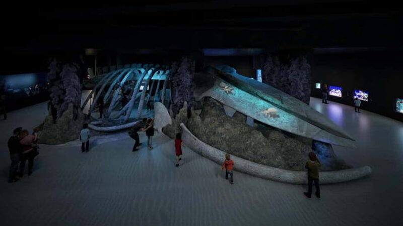 Singapore: Singapore Oceanarium Entrance E-Ticket - A Practical Look at the Singapore Oceanarium Experience