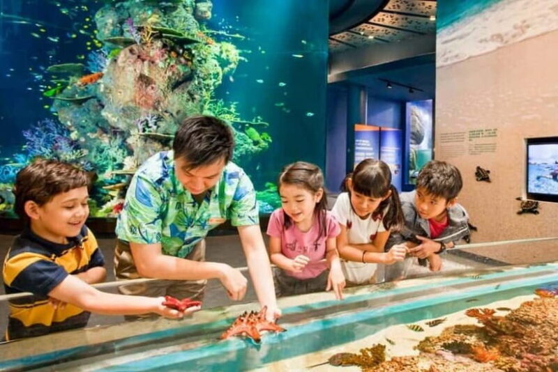 Singapore: Singapore Oceanarium Entrance E-Ticket - Frequently Asked Questions