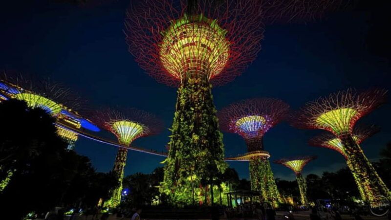 Singapore: Sunset River Cruise and Glittering Light Shows - What You Can Expect on This Tour