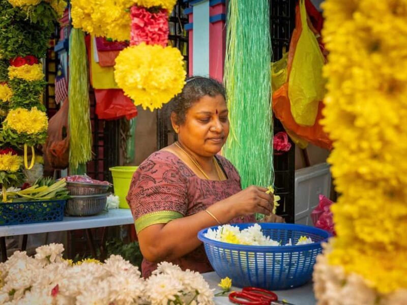 Singapore: Temples, Chinatown and Little India Private Tour - Who Should Consider This Tour?