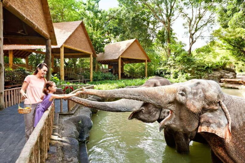 Singapore Zoo: 1-Day Entrance E-Ticket - Key Points
