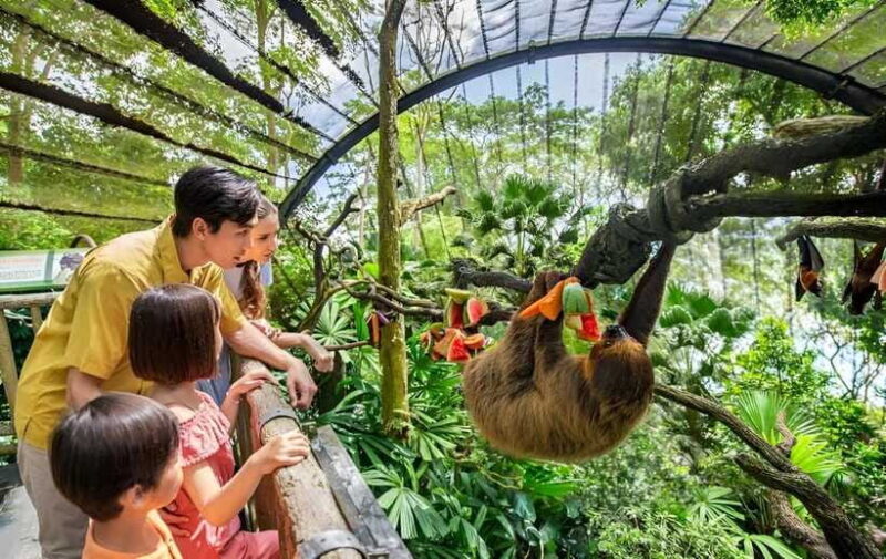 Singapore Zoo: 1-Day Entrance E-Ticket - Final Thoughts