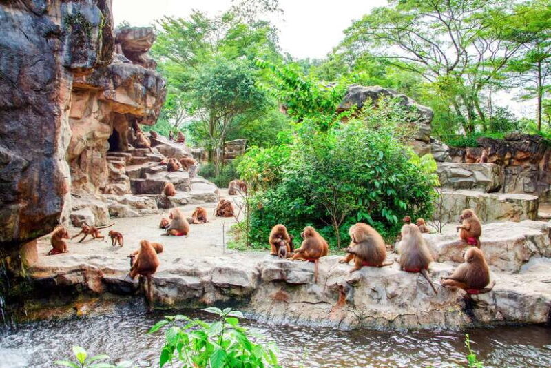 Singapore Zoo: 1-Day Entrance E-Ticket - FAQ