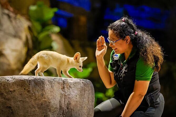 Singapore Zoo and Night Safari Tickets - Key Points