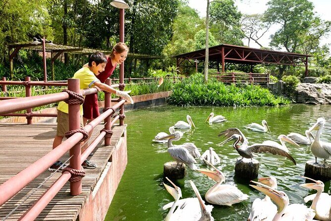 Singapore Zoo - FAQ