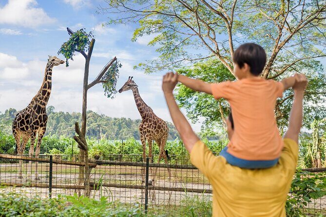 Singapore Zoo Entry Ticket - A Deep Dive into the Singapore Zoo Experience
