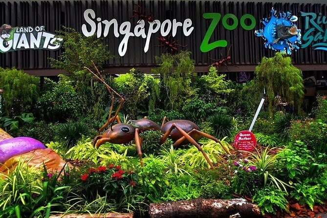 Singapore Zoo & River Wonder Day Ticket & Transfer - Who Is This Tour Best For?