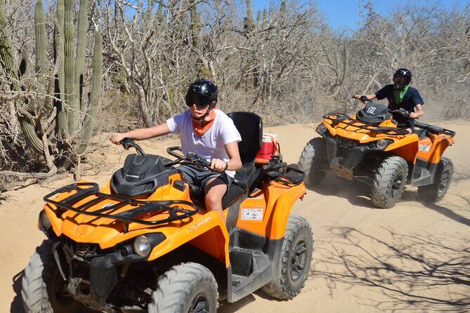 Single ATV Tour from Migriño Beach & Desert - Who Would Love This Tour?