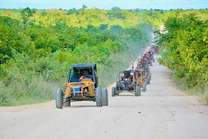 Single Driver Buggy Adventure in Punta Cana  1 Person/Vehicle - FAQs