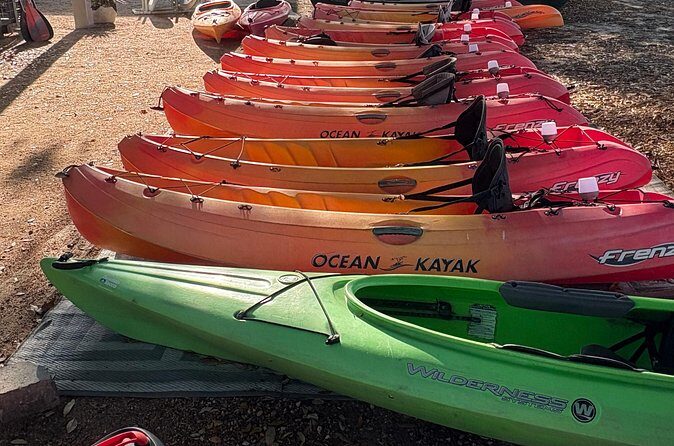 Single Kayak Rental - Why a Kayak on the Trinity River Makes Sense