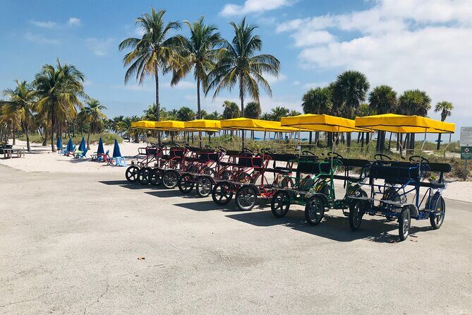 Single Quadricycle Rental at Crandon Park - Key Points
