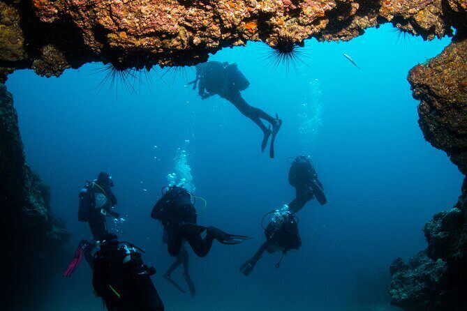 Single Scuba Try-Dive in Puerto del Carmen - small groups - 2 hours - Final Thoughts: Who Is This Tour Best For?