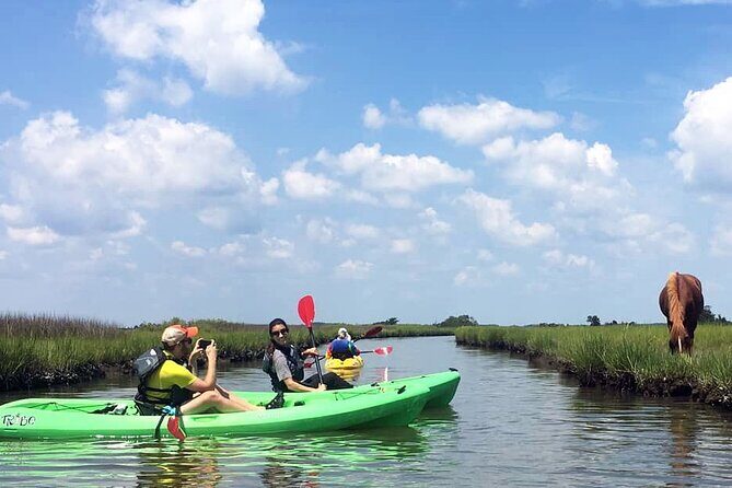 Single Sit on Top Kayak Rental at Assateague Island, MD - A Peaceful Paddle: Single Sit-On-Top Kayak Rental at Assateague Island, MD