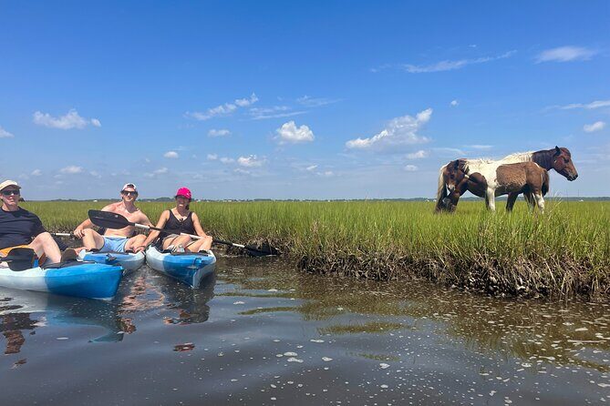 Single Sit on Top Kayak Rental at Assateague Island, MD - Key Points