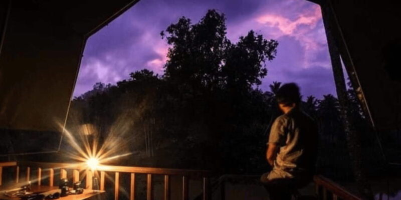 Sinharaja Forest Reserve Glamping with BBQ Night - Key Points