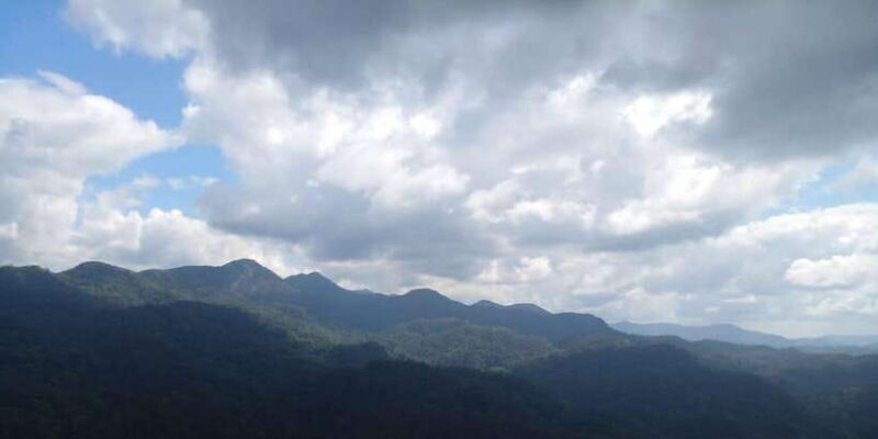 Sinharaja Forest Reserve Glamping with BBQ Night - Who Should Consider This Tour?