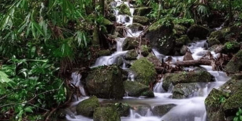 Sinharaja Forest Reserve Glamping with BBQ Night - Authenticity and Value: What We Think