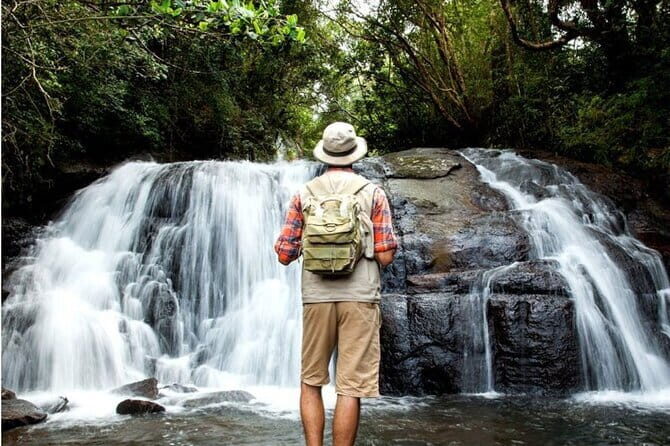 Sinharaja Rain Forest and Tea Factory Day Tour - Exploring Sri Lanka’s Nature and Tea Heritage