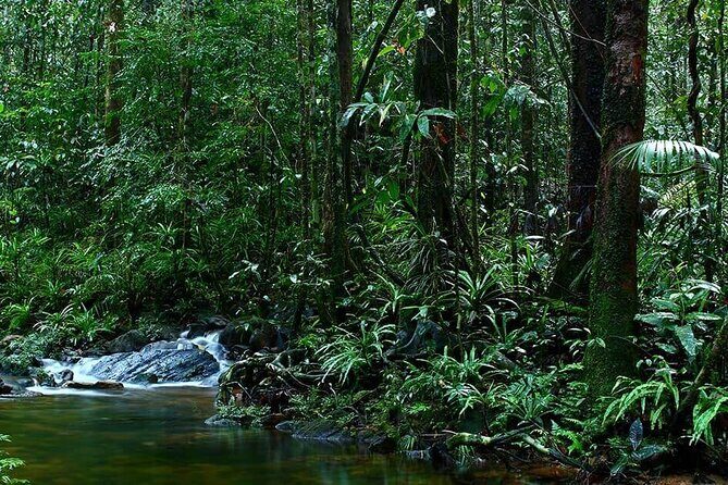 Sinharaja Rain Forest Guided Day Tour - Final Thoughts