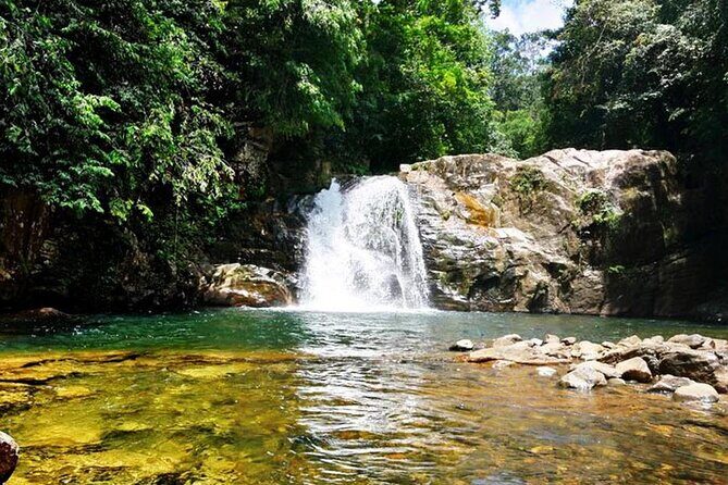 Sinharaja Rain Forest Tour from Tangalle - Experience the Heart of Sri Lanka’s Wilderness: Sinharaja Rain Forest Tour from Tangalle