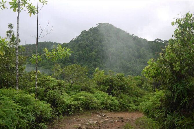 Sinharaja Rain Forest Tour from Tangalle - The Sum Up: Is It Worth It?