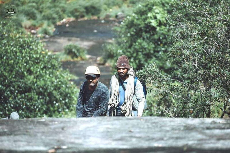 Sinharaja Rain Forest UNESCO Walk and Bird Watching Day Tour - Exploring the Sinharaja Rain Forest UNESCO Walk and Bird Watching Day Tour