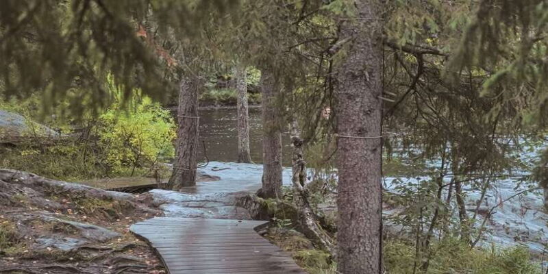 Sinharaja Rainforest Private & Customize Tour - In-Depth Review of the Sinharaja Rainforest Tour